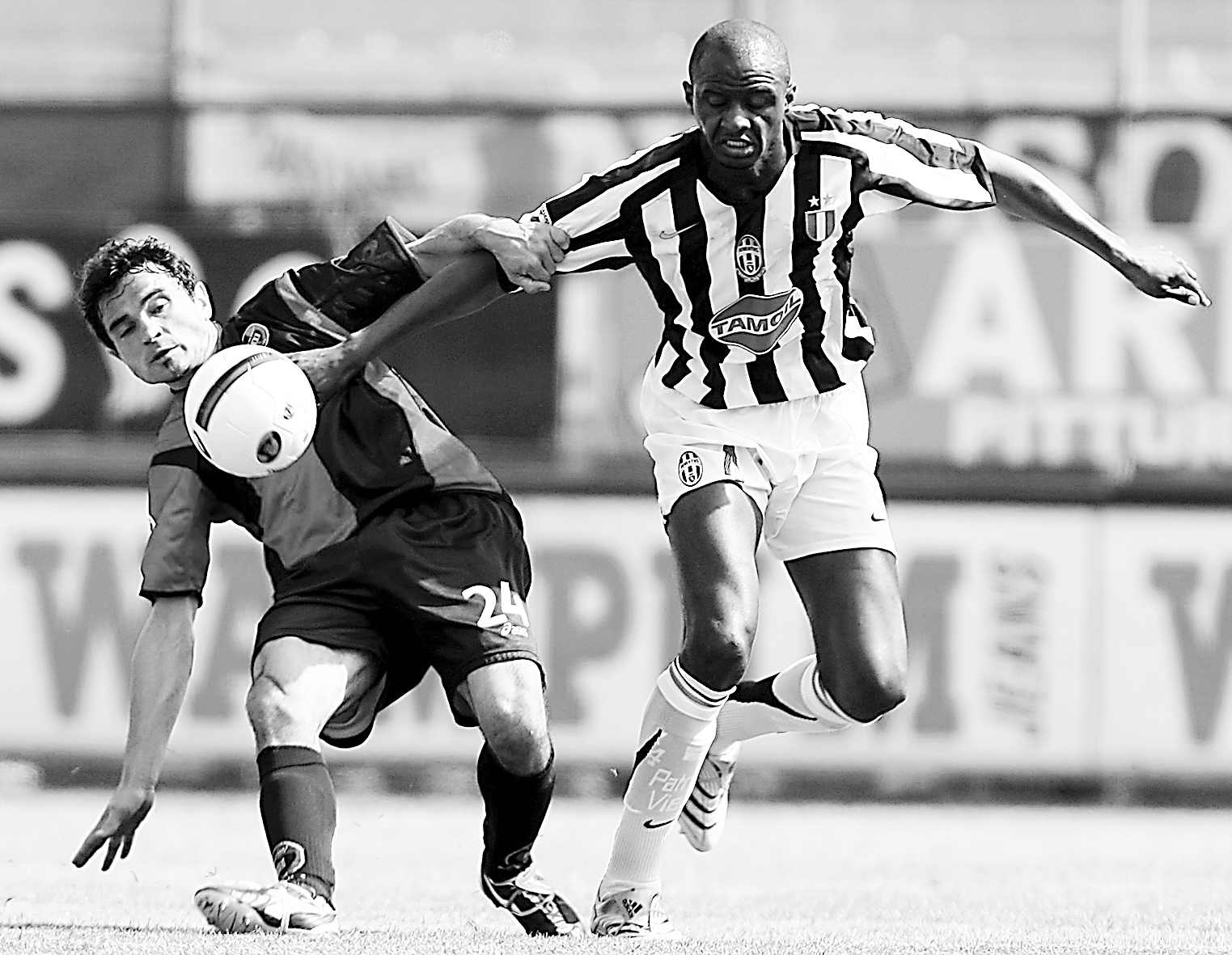 的组织能力 的组织能力