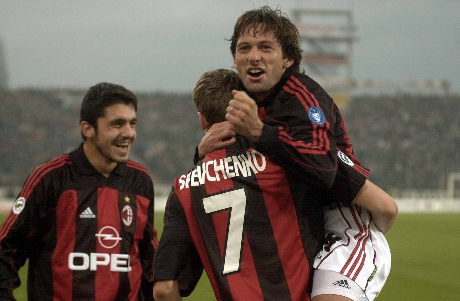 今已成为当 今已成为当